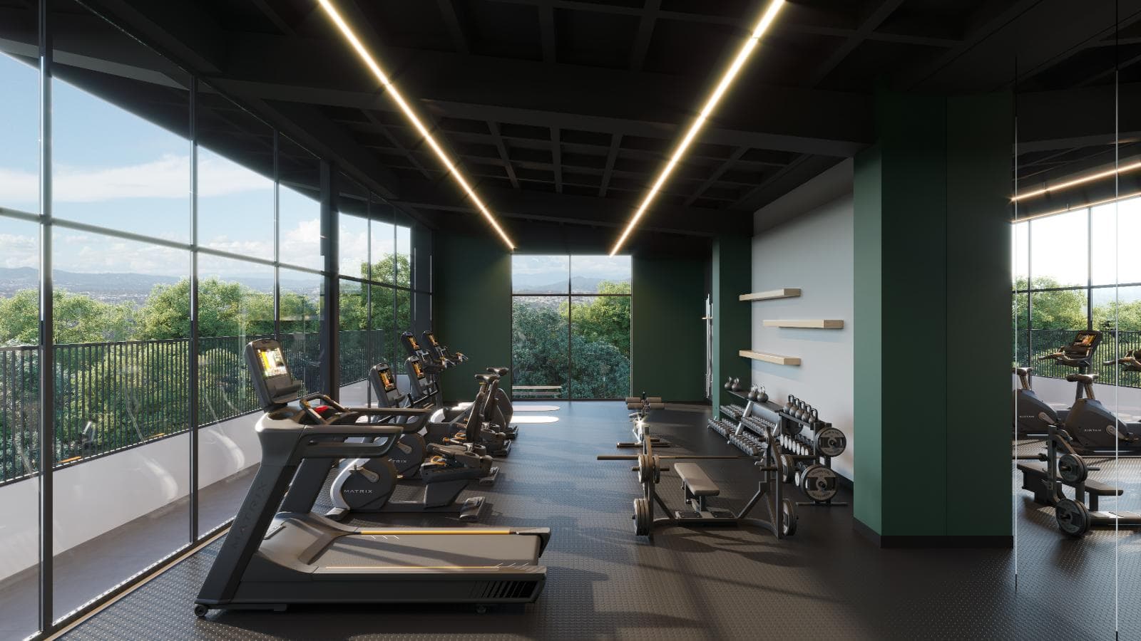 Gimnasio